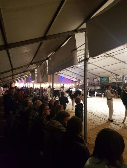 Expo Holstein, Porsel, le 19 octobre 2019, Glâne-Veveyse 